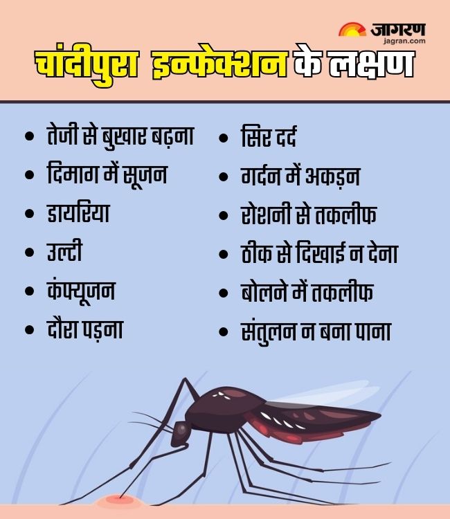 Chandipura Virus